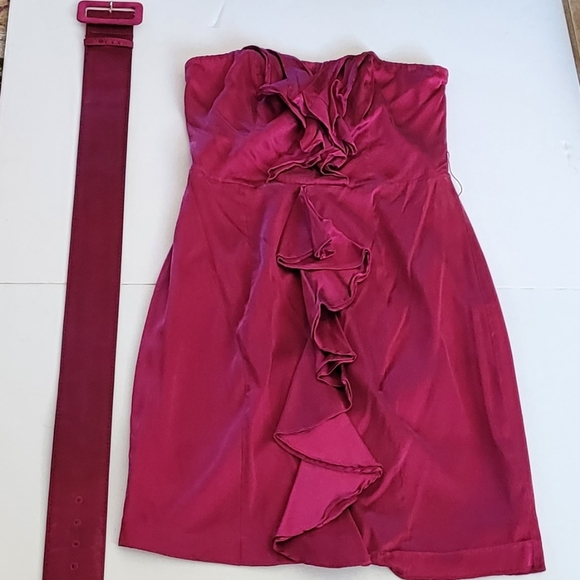 Hot🩷PinkExpress Silk strapless dress - Picture 2 of 11